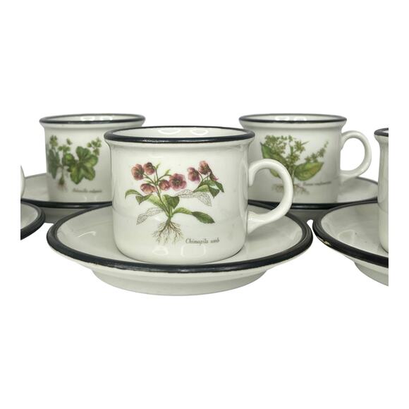 ITALIAN Set (6) Espresso Tea IPA CUPS & SAUCERS Demitasse Botanic Garden Flowers - Picture 5 of 14
